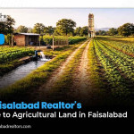 A Faisalabad Realtors Guide to Agricultural Land in Faisalabad