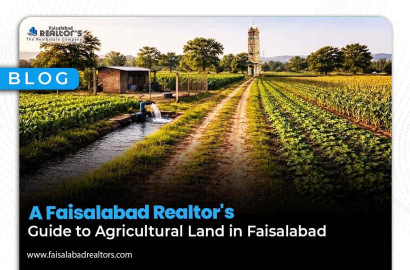 A Faisalabad Realtors Guide to Agricultural Land in Faisalabad