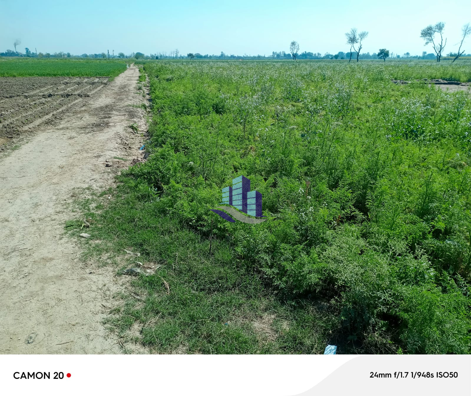 Agriculture Land Available for sale at Samundri road to Jhang road bypass