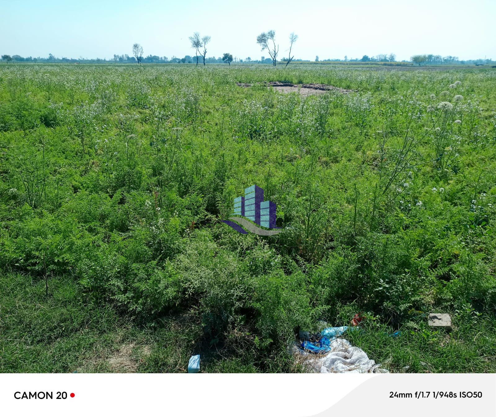 Agriculture Land Available for sale at Samundri road to Jhang road bypass