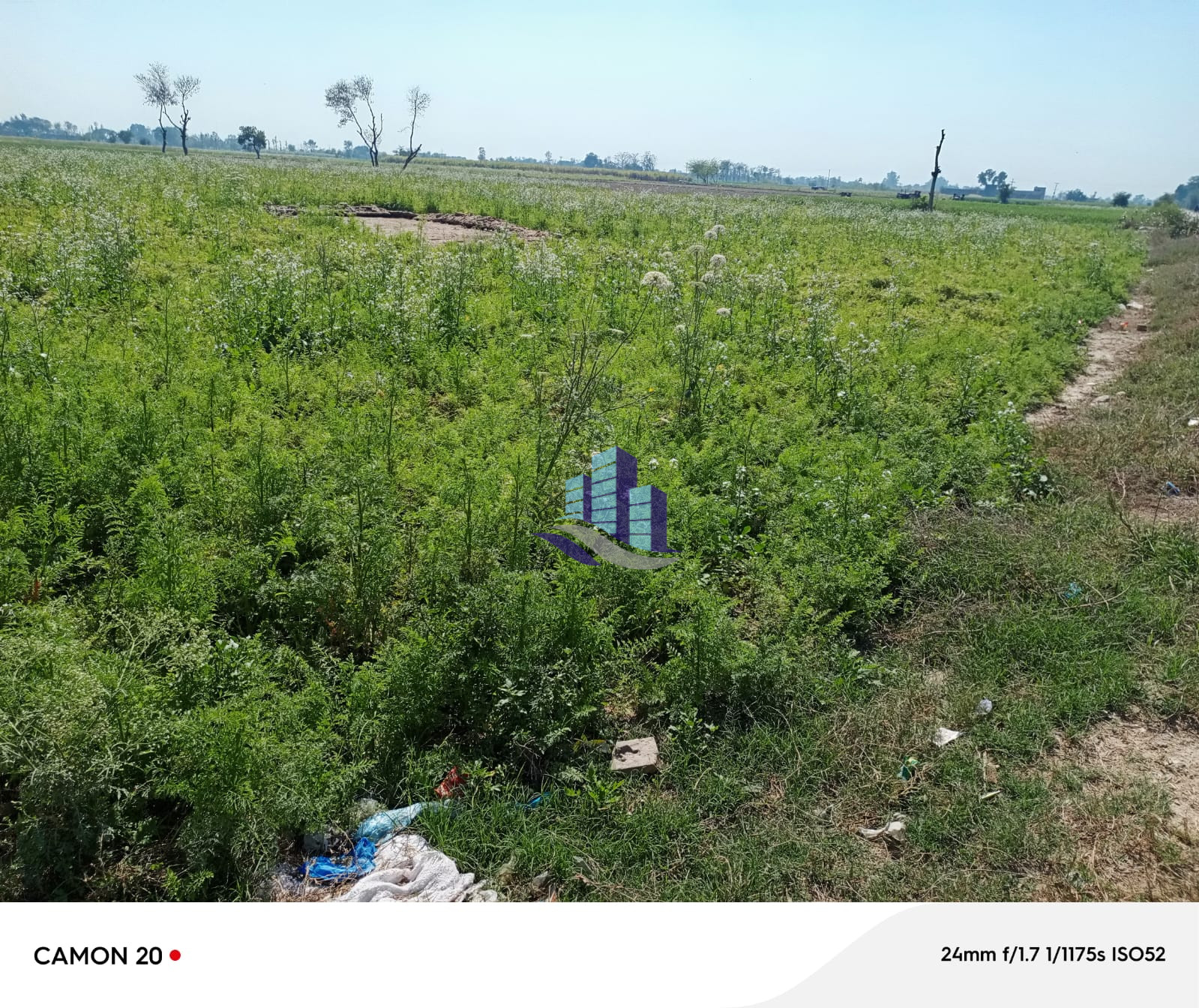 Agriculture Land Available for sale at Samundri road to Jhang road bypass