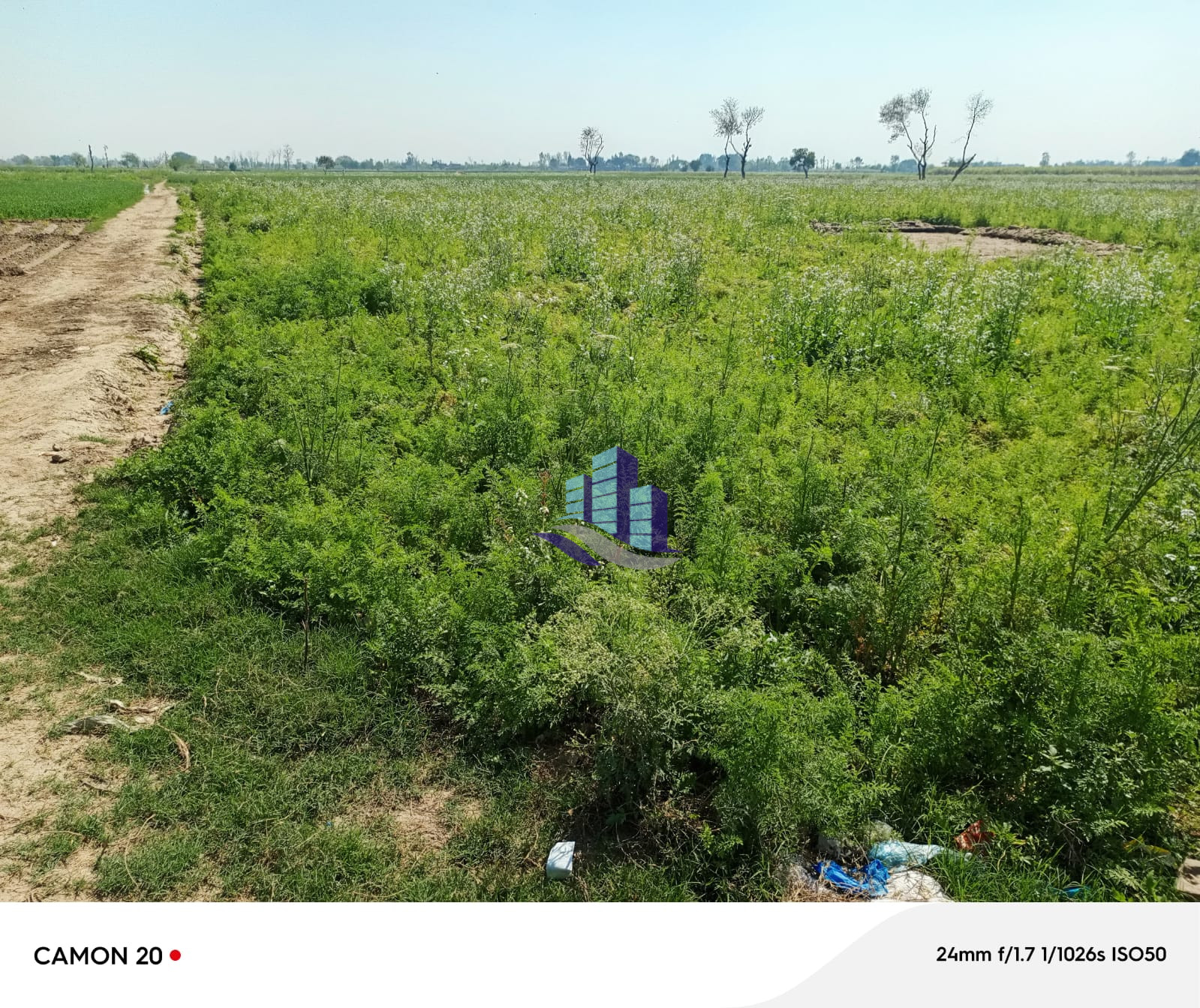 Agriculture Land Available for sale at Samundri road to Jhang road bypass