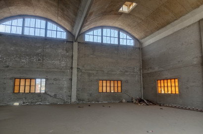 Premium Warehouse for Rent on Sargodha Road Faisalabad