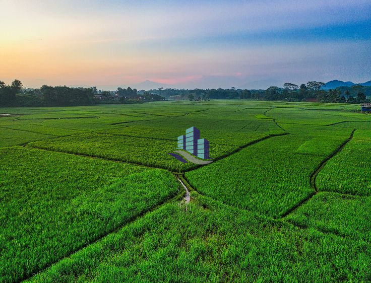 100 Acre Agri-Land For Sale at Jaranwala Road, Faisalabad