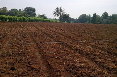 3 Acres Prime Agricultural Land for Sale on Abbas Pur Road Faisalabad