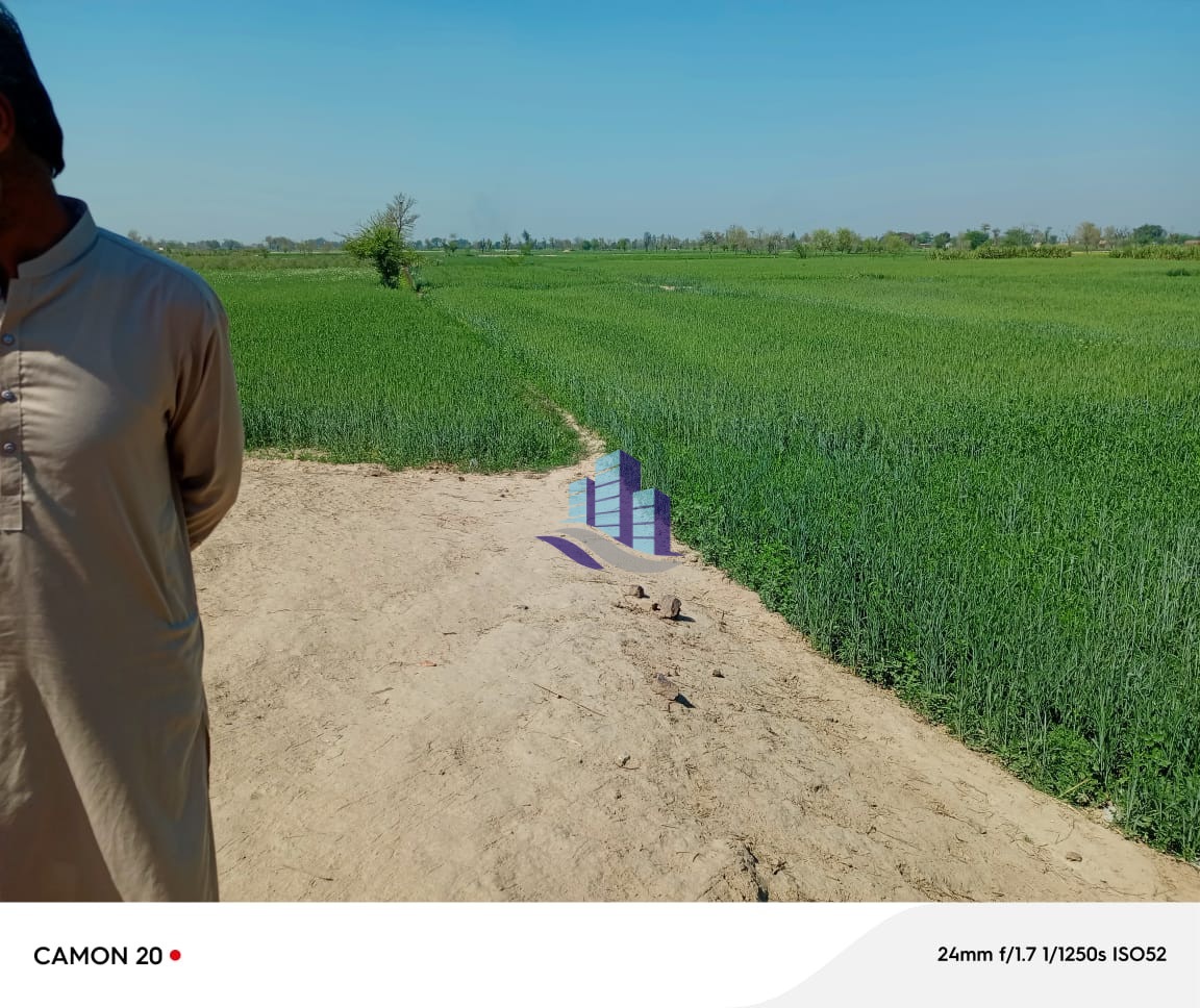 Ideal Agriculture Land Available in Faisalabad