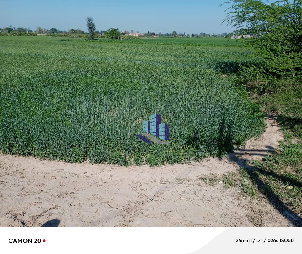 Ideal Agriculture Land Available in Faisalabad