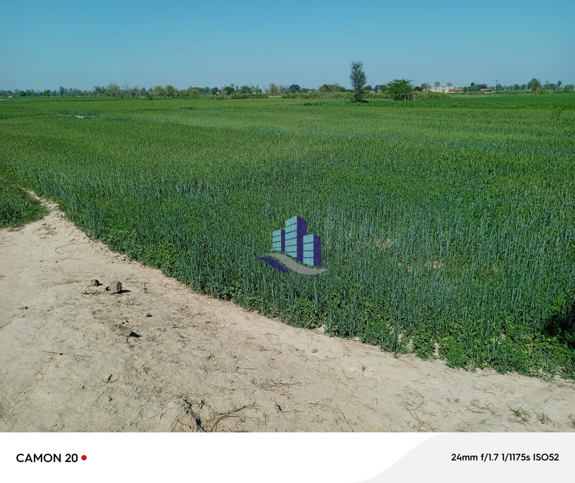 Ideal Agriculture Land Available in Faisalabad