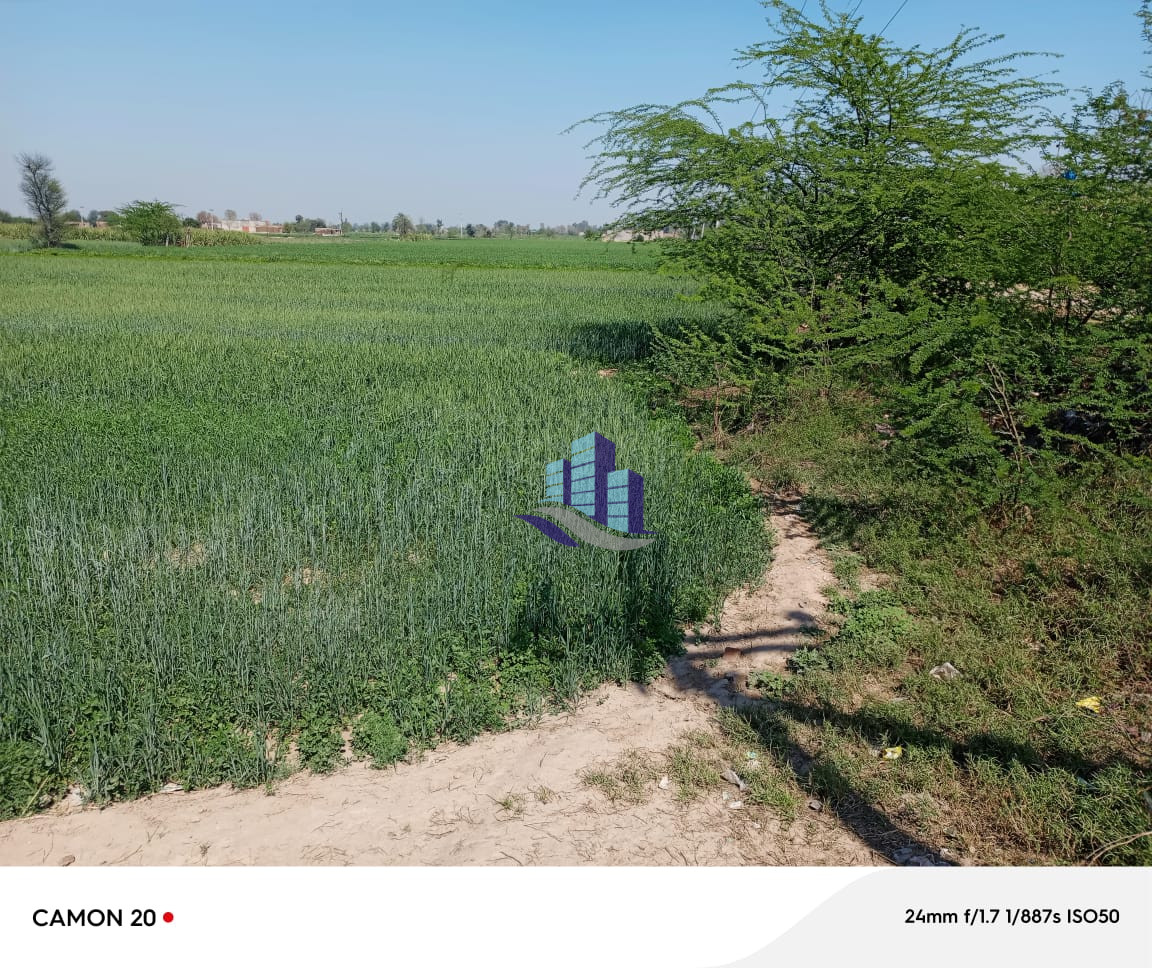 Ideal Agriculture Land Available in Faisalabad