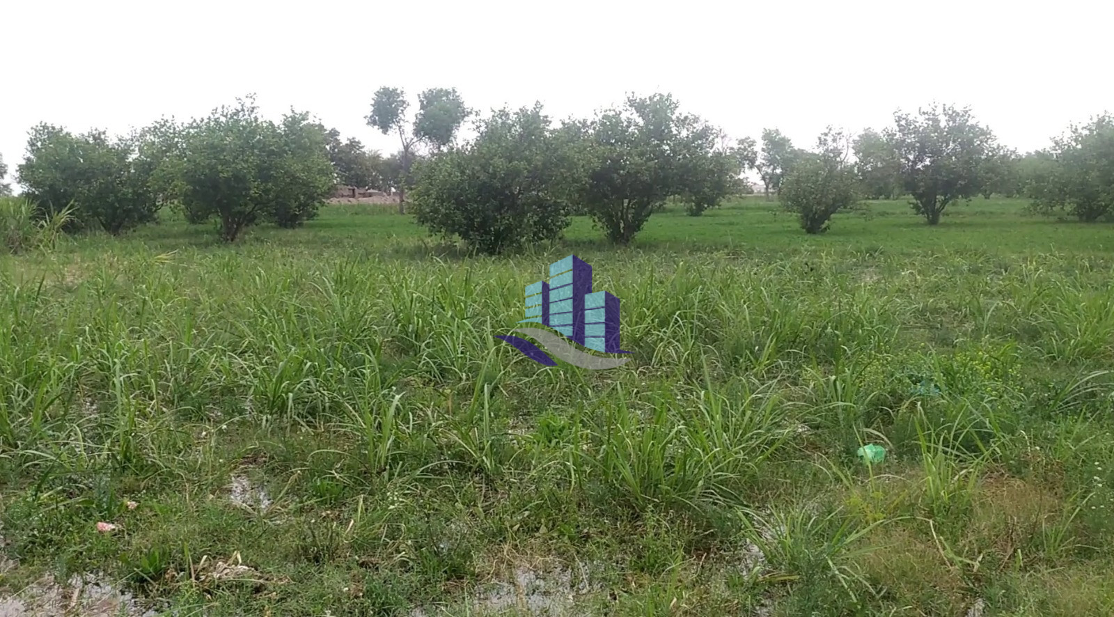 1 Acre Prime Agricultural Land for Sale Near Jhang Road Bypass