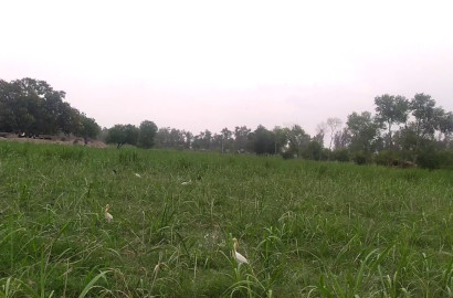 7 Kanal Commercial / Investment Land for Sale Near Roshanwala Bypass