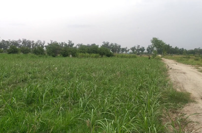 4 Acre Prime Agricultural Land for Sale in Abbaspur road Faisalabad
