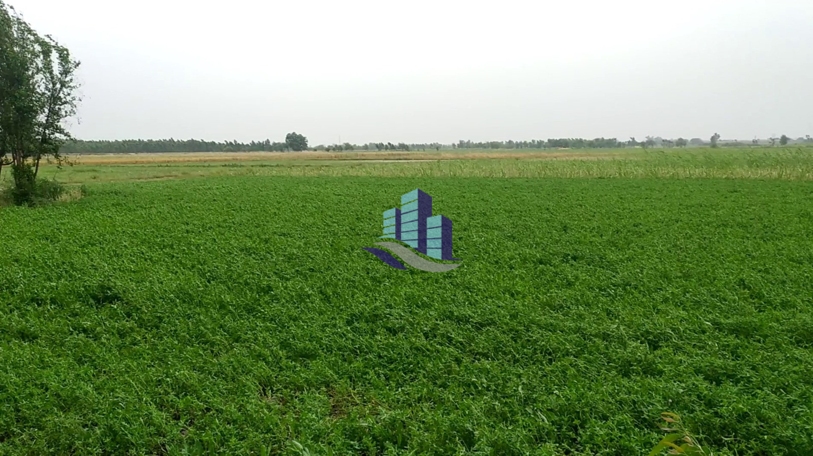 2 Acre Prime Agricultural Land for Sale on Abbaspur Road Faisalabad