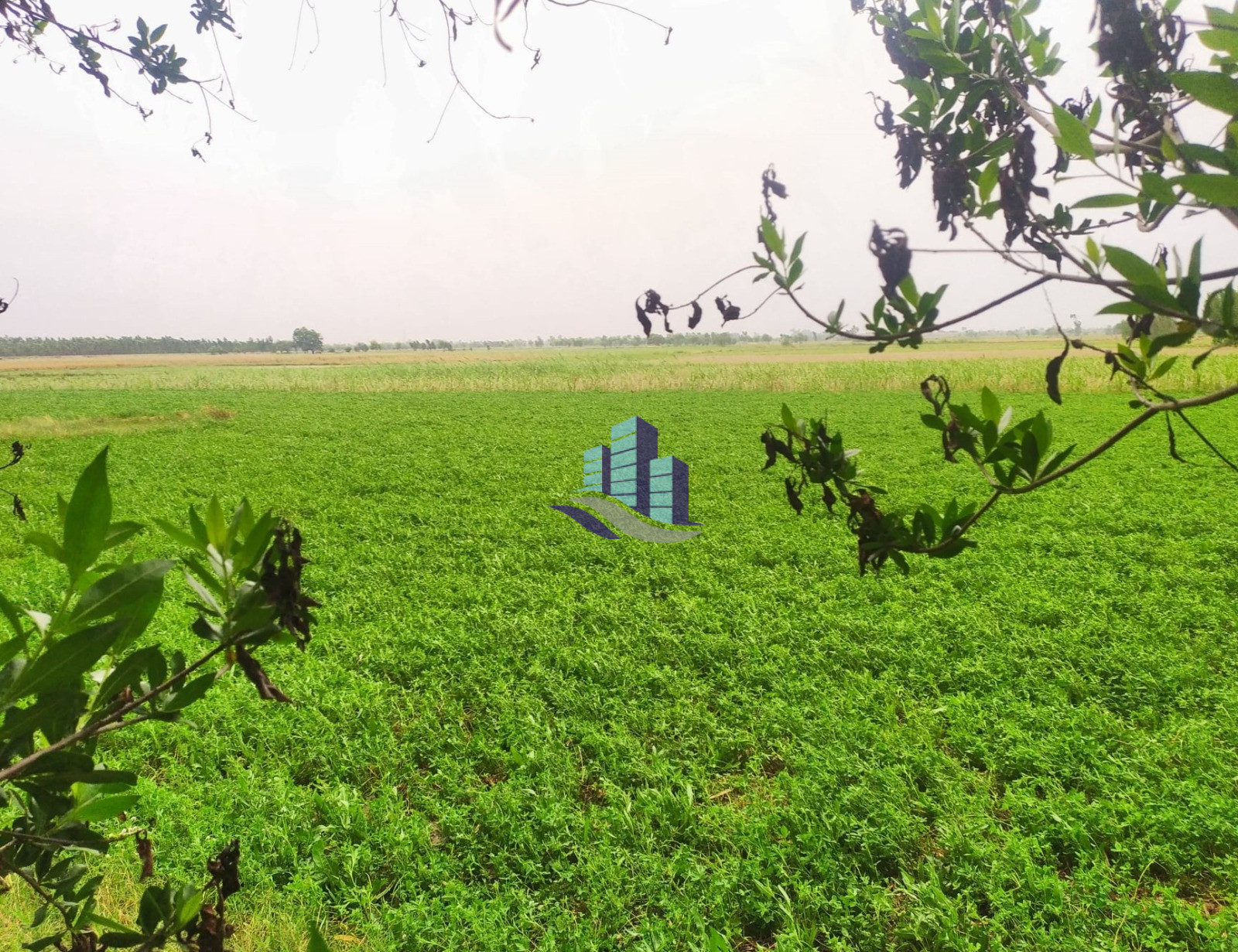 Desirable Location 17 Acres Agricultural Land for Sale on Jaranwala Road Faisalabad