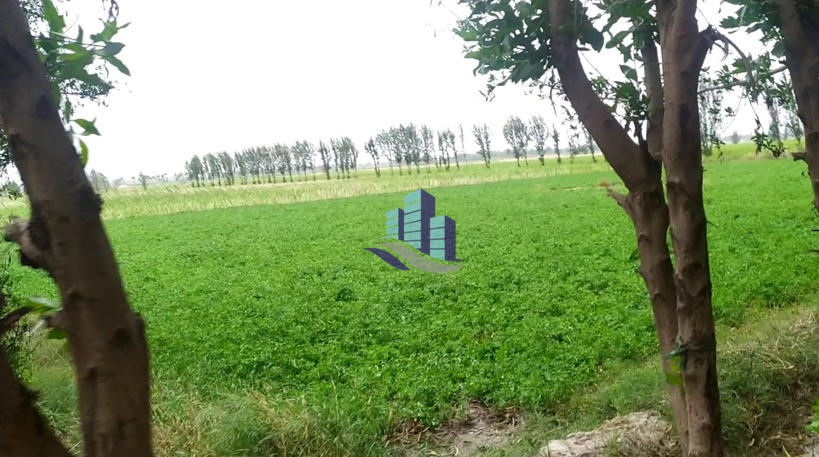 Desirable Location 17 Acres Agricultural Land for Sale on Jaranwala Road Faisalabad