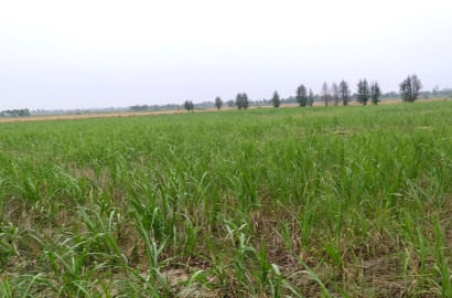3 Acre Prime Land For Sale Backside of Allied Housing – Ideal Investment Location