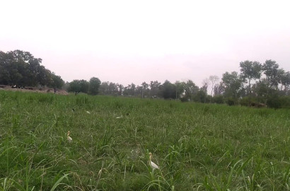1 Maraba Agricultural Land for Sale Near Siawala Interchange
