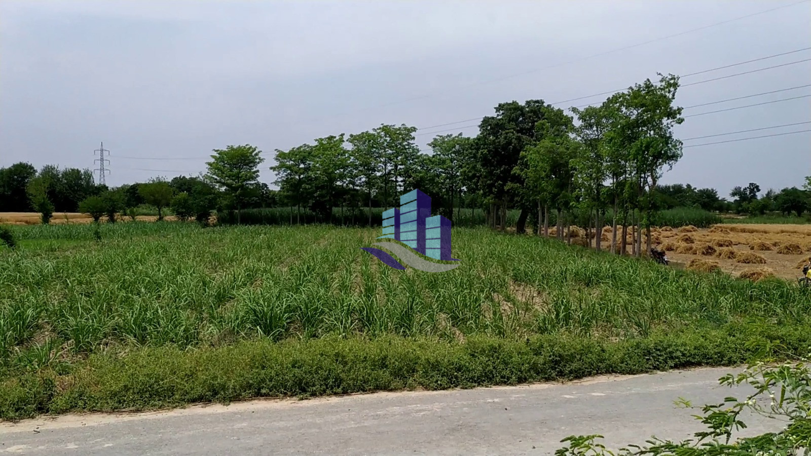 3 Acres Prime Agricultural Land for Sale on Abbas Pur Road Faisalabad