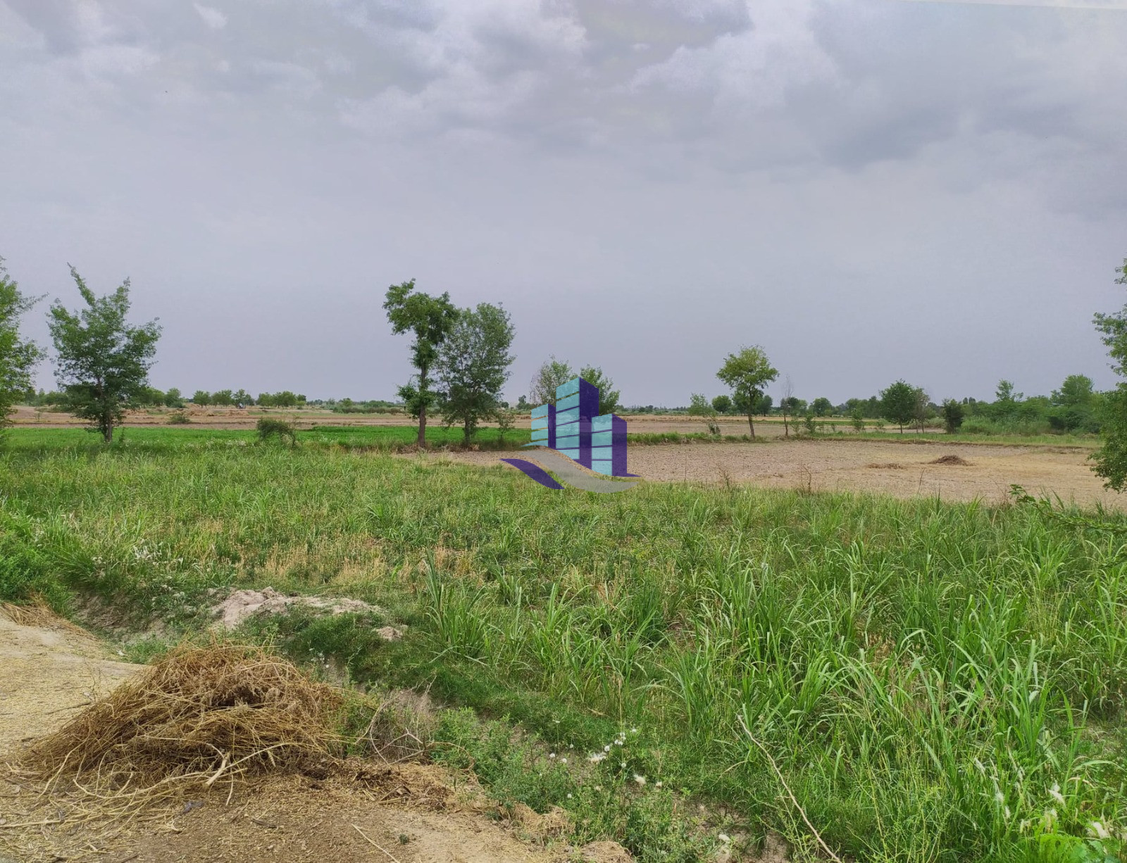 Ideal 22 Acre Fully Agricultural Land for Sale Near Jaranwala, 96 GB Faisalabad