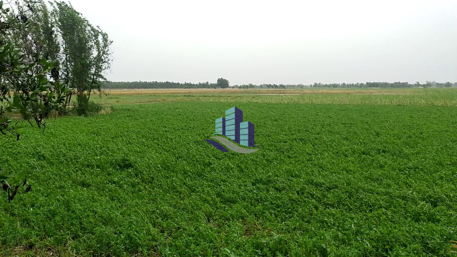 4 Acre Agricultural Land for Sale Near Samundri Road Bypass Link Road, Faisalabad