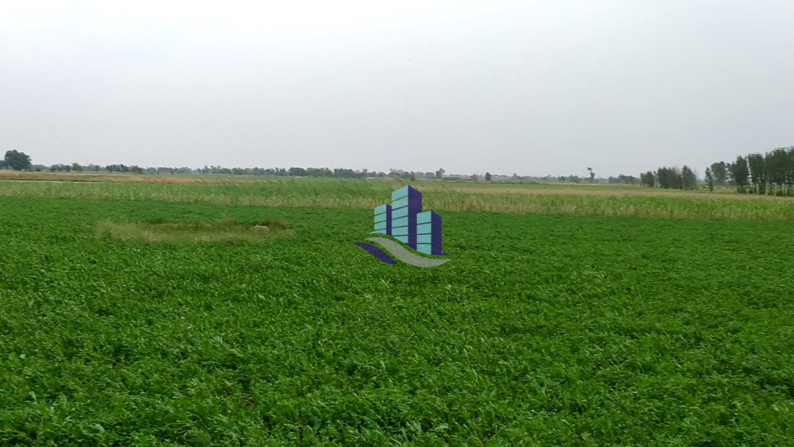 4 Acre Agricultural Land for Sale Near Samundri Road Bypass Link Road, Faisalabad