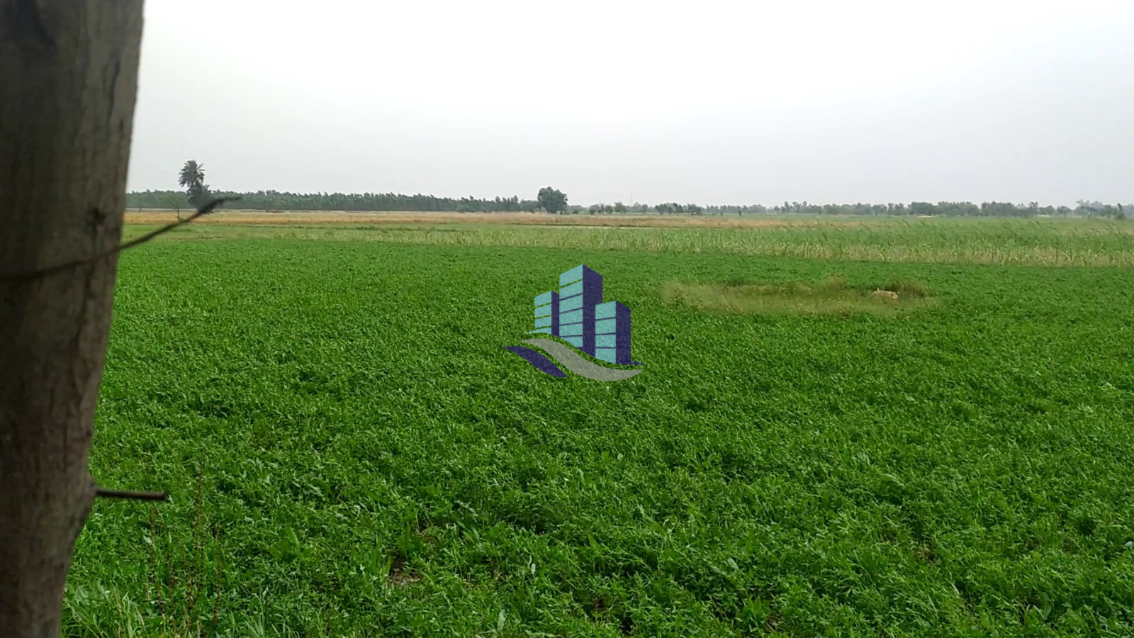 2 Acre Agricultural Land for Sale Near Jhang Road Bypass Link Road, Faisalabad