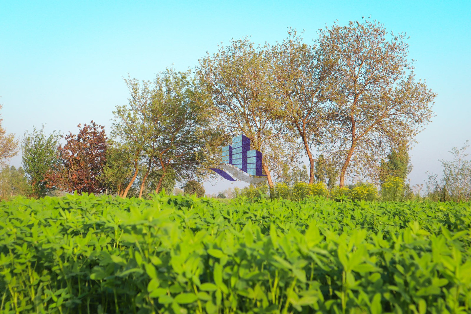 Ideal 22 Acre Fully Agricultural Land for Sale Near Jaranwala, 96 GB Faisalabad