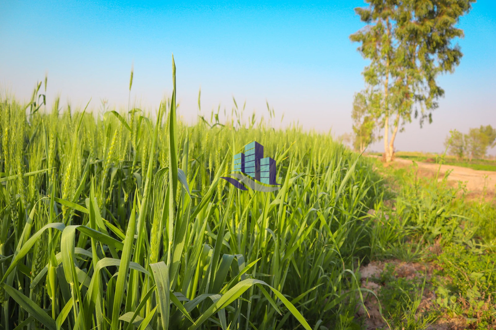 10 Acre Prime Agricultural Land for Sale on Samundari Road