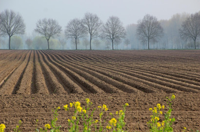 1 Acre Fully Agriculture Farm House Land for Sale At Near Main Jhang Road Bypass Faisalabad
