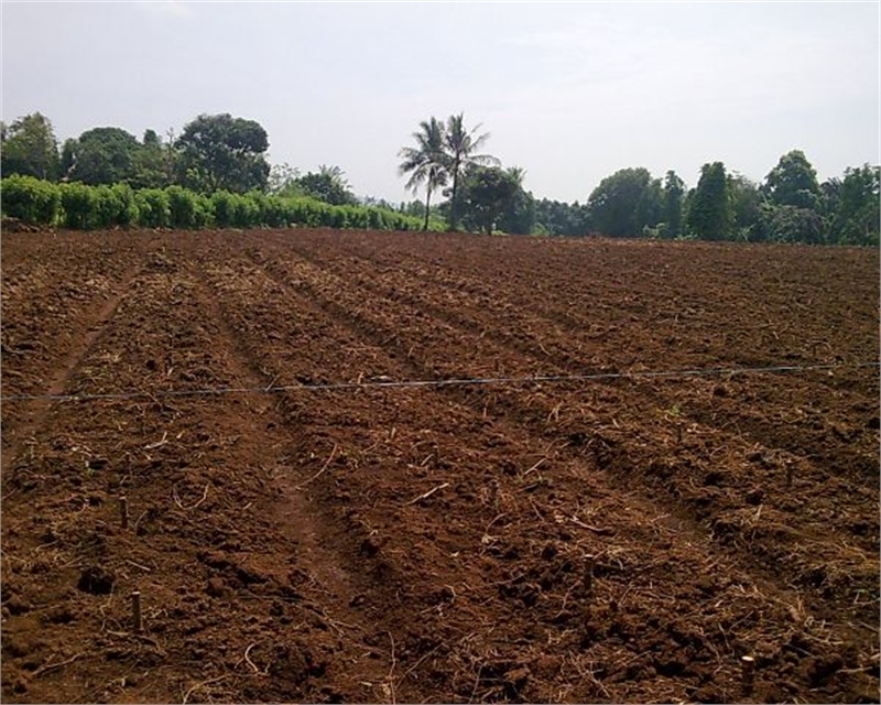 4.5 Acre Fully Agriculture Land Available For Sale At Samundari Road Near Dasua pull Faisalabad