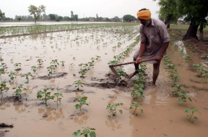 2 Acres of Agricultural Land in Jarranwala, Faisalabad