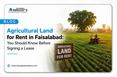 Agricultural Land for Rent in Faisalabad: You Should Know Before Signing a Lease