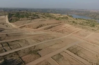 “56 Acres Prime Agricultural Land for Sale on Jarawala Road”