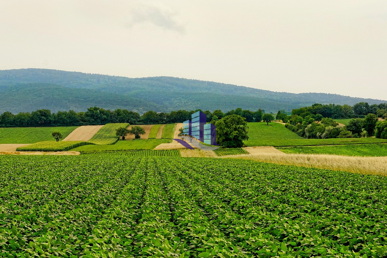 Ideal 32 Acer Agriculture Land For Sale On Jarranwala Road