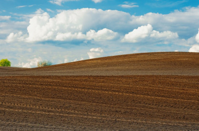 24 Acre Fully Agriculture Land For Sale at Near Jarranwala Road Faisalabad Punjab