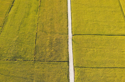 Ideal 2 Acre Land For Sale at Samundri Road Faisalabad (Best For Farmhouse & Farming)