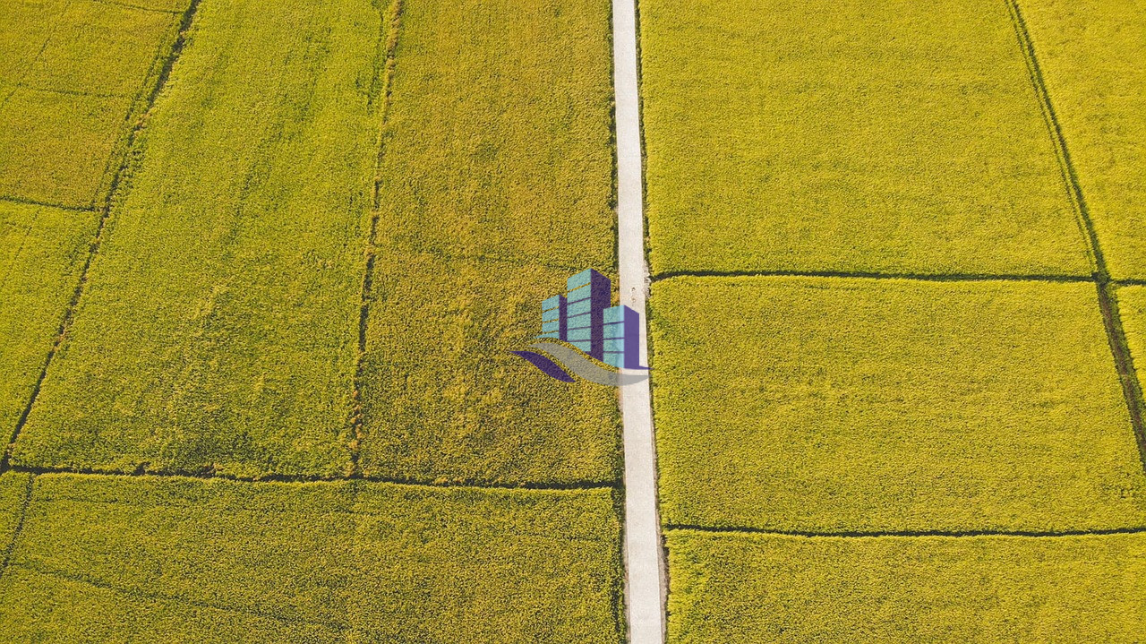 Ideal 2 Acre Land For Sale at Samundri Road Faisalabad (Best For Farmhouse & Farming)
