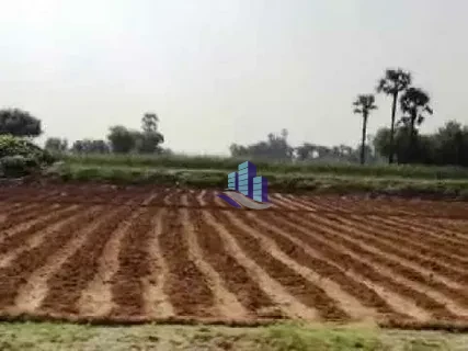 26 Acres Prime Agricultural Land for Sale in Khadarwala – Fertile & Ready for Farming