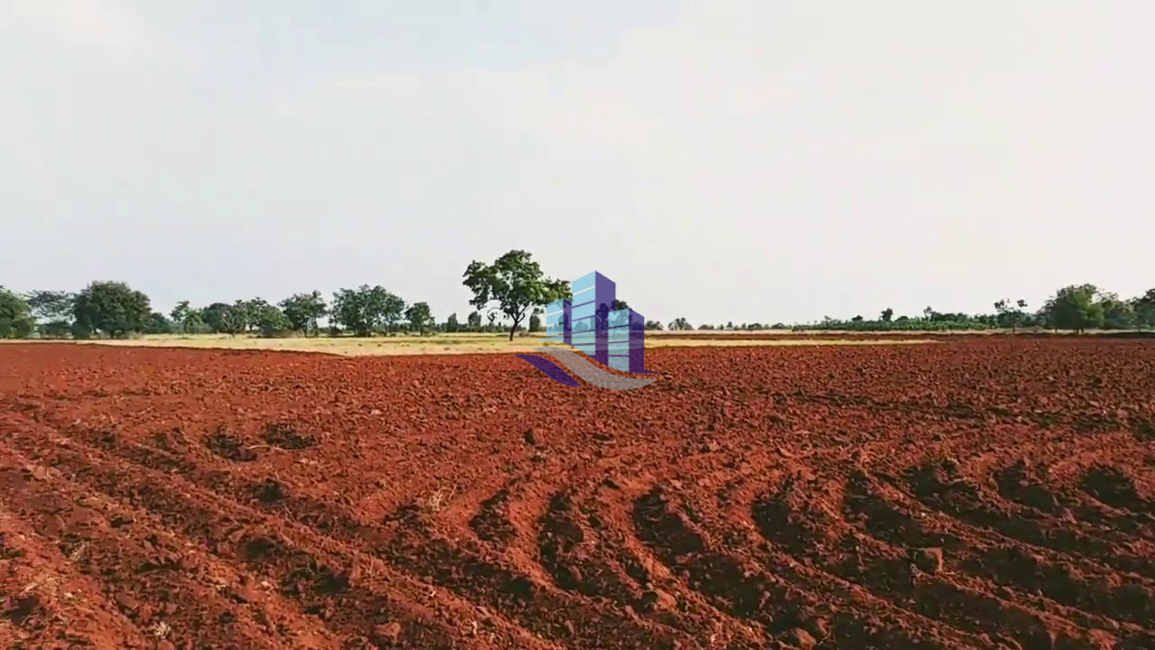 25 Acres Prime Agricultural Land for Sale on Satiana Road – Ideal for Farming & Investment