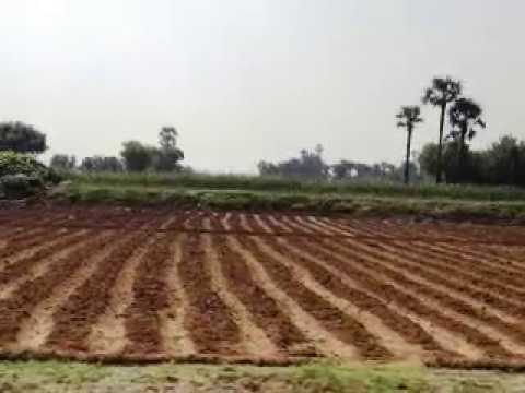 110 Acre Agriculture Land For Sale Nearby To Syed Wala Road Best For Investment