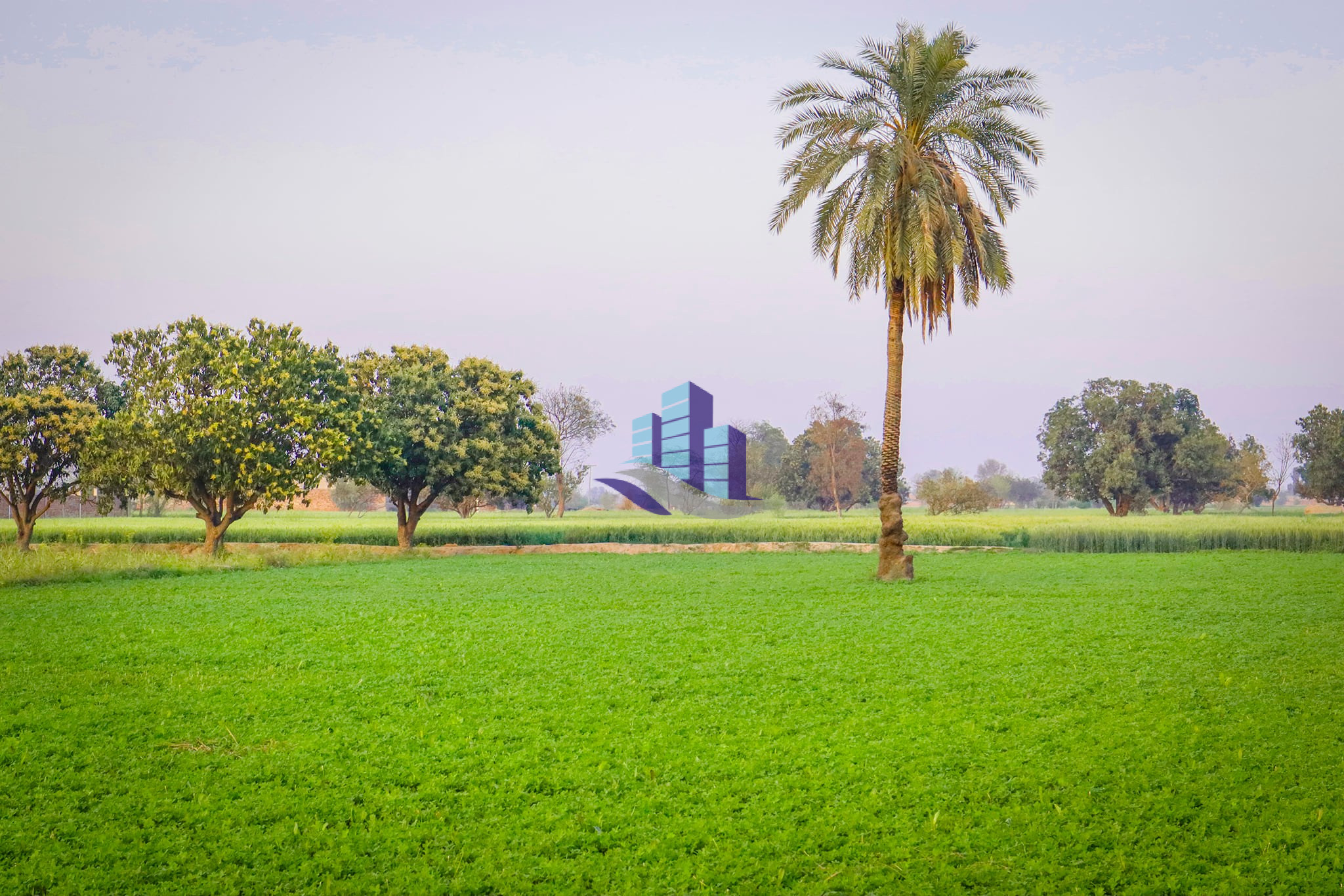 Agriculture Land for Sale for Investment at Link Khurrianwala to Jaranwala Road Faisalabad