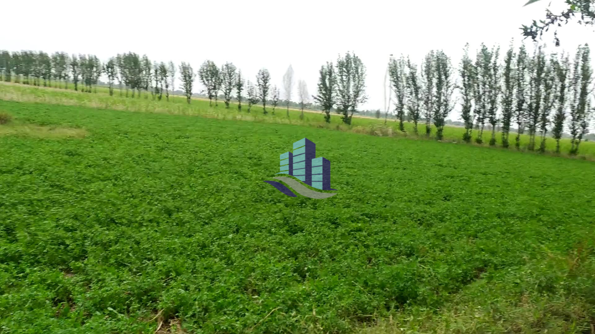 Agriculture Land for Sale for Investment at Link Khurrianwala to Jaranwala Road Faisalabad