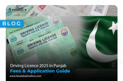 Driving Licence 2025 in Punjab: Fees & Application Guide