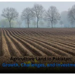 Agriculture Land in Pakistan: Growth, Challenges, and Investment