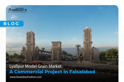 Lyallpur Model Grain Market: A  Commercial Project in Faisalabad