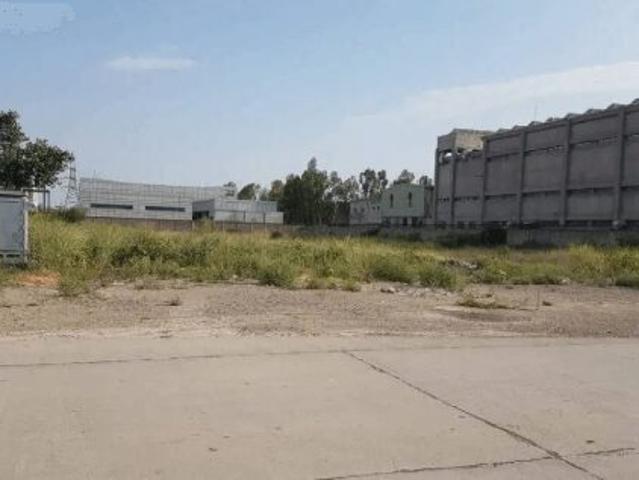 12.5 Acre Land For Sale Link Makoana Road Faisalabad