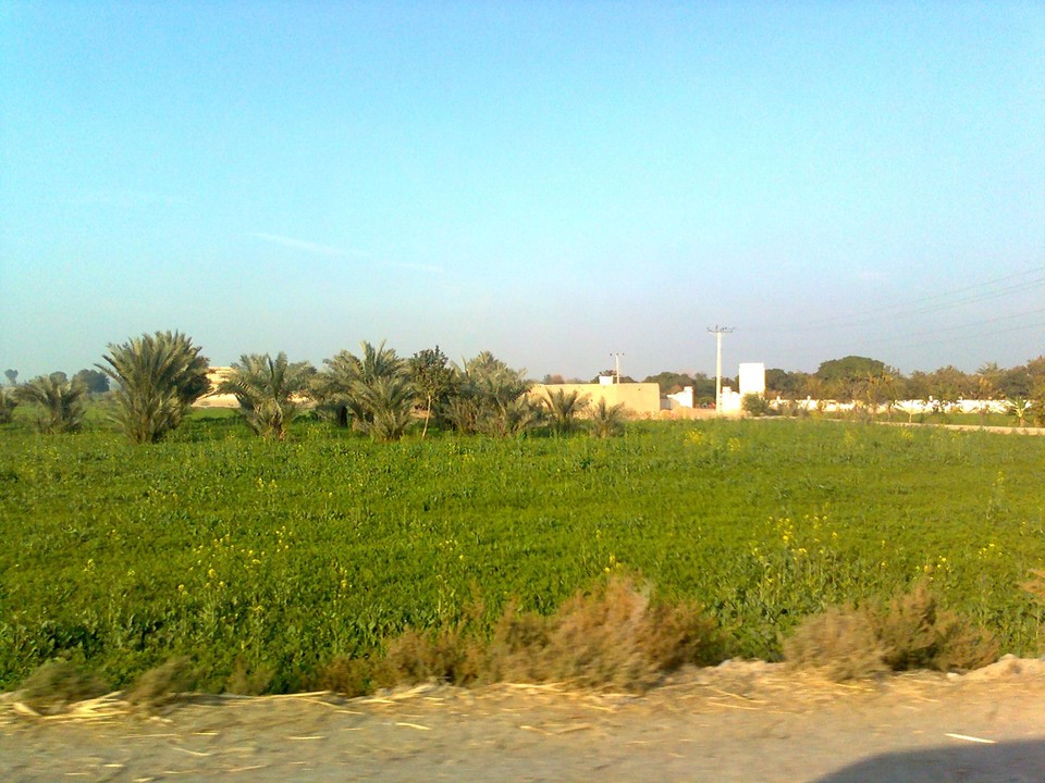 Ideal 27 Acer Fully Agriculture Land For Sale