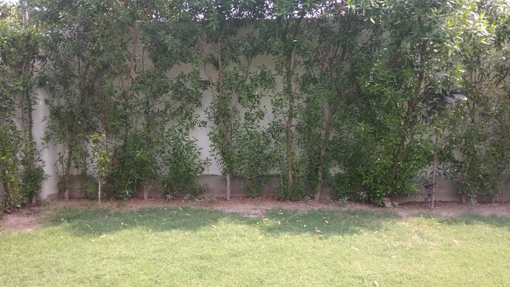1 Kanal Fully Commercial Plot Available For Investment at Kohinoor City