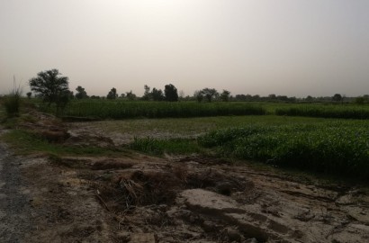 88-89 Kanal Land For Sale On Link Khanuana To Dijkot Road Faisalabad