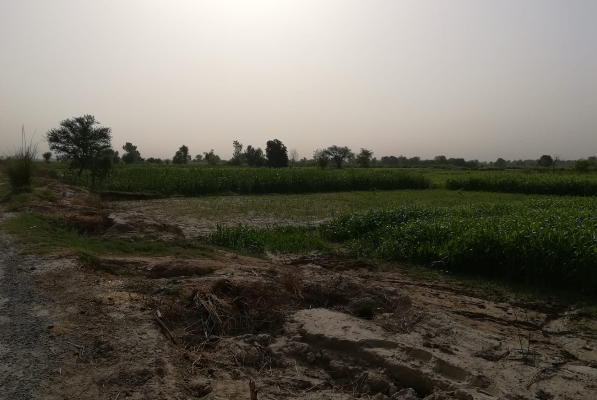 88-89 Kanal Land For Sale On Link Khanuana To Dijkot Road Faisalabad